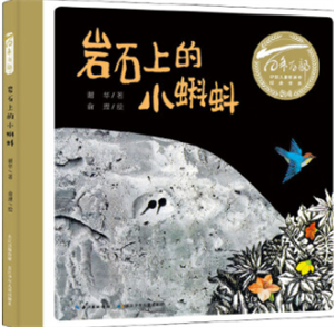 岩石上的小蝌蚪